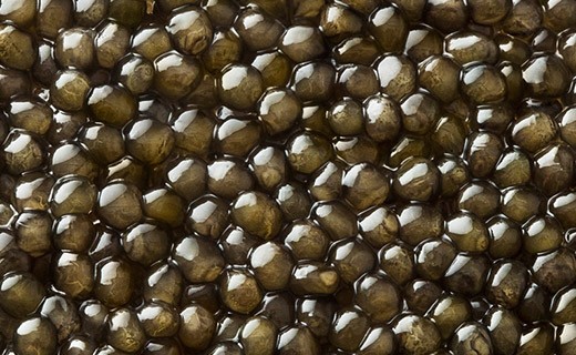 goldener Oscietra Kaviar 30g - Kaviari