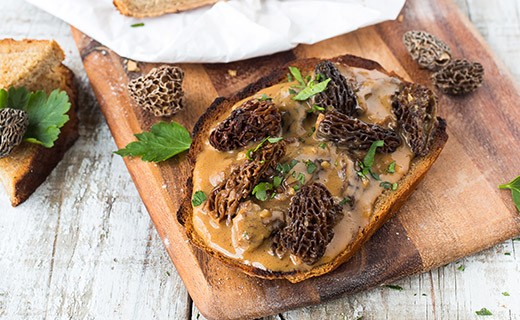 Spezielle getrocknete Morchel - La Maison du Champignon