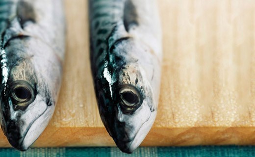 Zerbröckelterr Thunfisch Saveurs de la Garrigue - La Belle-Iloise