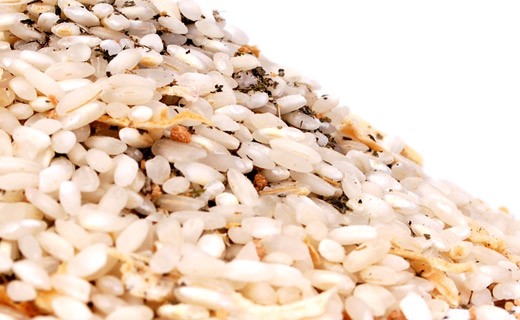 Brennesselrisotto - Gli Aironi